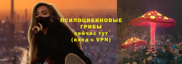 соль ск Куйбышев